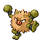 Primeape shiny