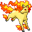 Rapidash