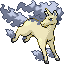 Rapidash shiny