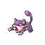 Rattata
