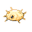 Silcoon shiny