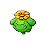 Skiploom