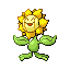 Sunflora