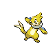 Buizel shiny