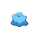 Ditto shiny