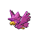 Murkrow shiny