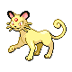 Persian shiny