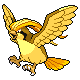 Pidgeot shiny