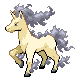 Rapidash shiny