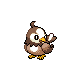 Starly shiny