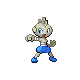 Tyrogue shiny
