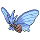 Venomoth shiny