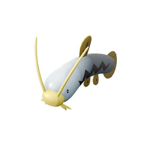 Barboach shiny