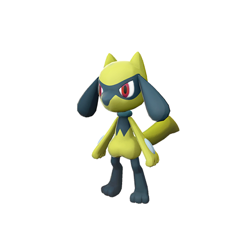 Riolu shiny
