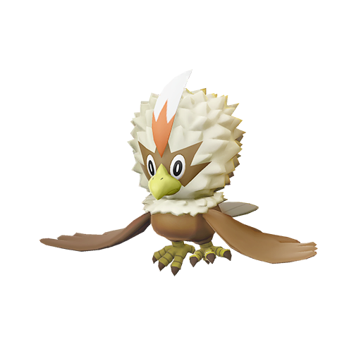 Rufflet shiny