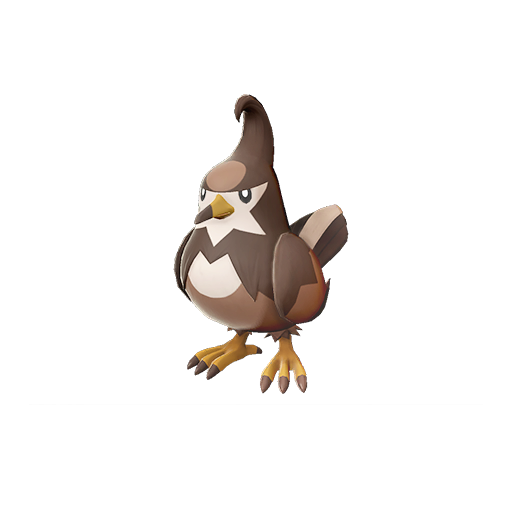 Staravia shiny