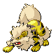 Arcanine shiny