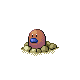 Diglett shiny