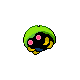 Kabuto shiny