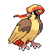 Pidgeot