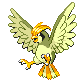 Pidgeotto shiny