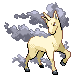 Rapidash shiny