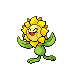 Sunflora