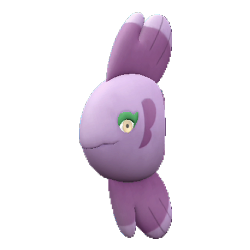 Alomomola shiny