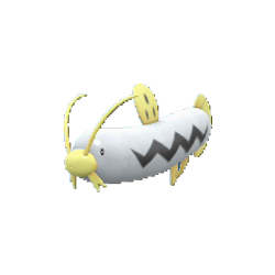 Barboach shiny