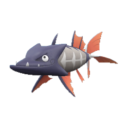 Barraskewda shiny