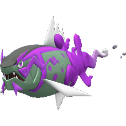 Basculegion shiny
