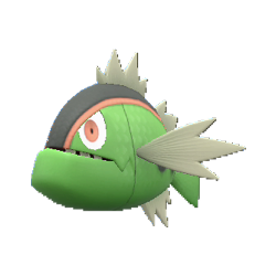 Basculin shiny