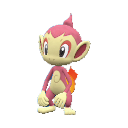 Chimchar shiny