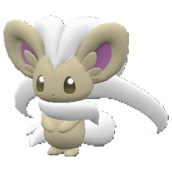 Cinccino shiny