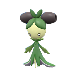 Dolliv shiny