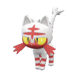 Litten shiny