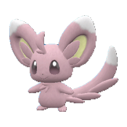 Minccino shiny