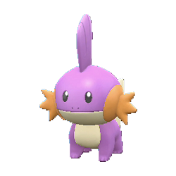 Mudkip shiny