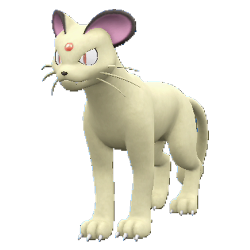 Persian shiny