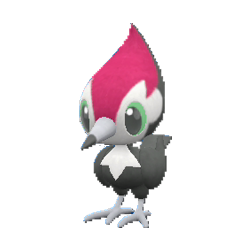 Pikipek shiny