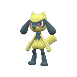 Riolu shiny