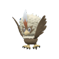 Rufflet shiny