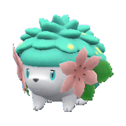 Shaymin shiny