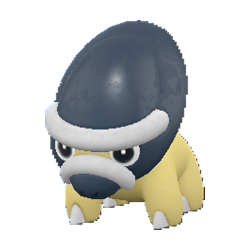 Shieldon shiny