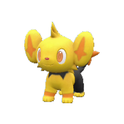 Shinx shiny