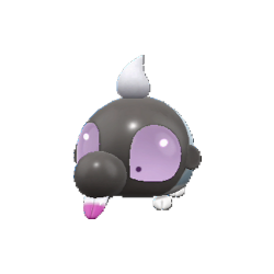 Shroodle shiny