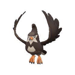 Staravia shiny