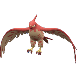 Talonflame shiny