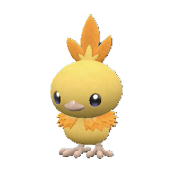 Torchic shiny