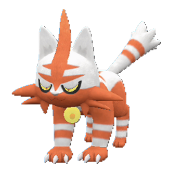 Torracat shiny